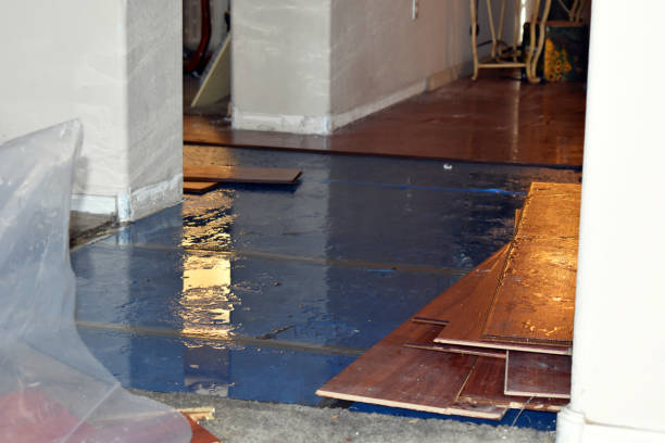 Professional Water Removal technician working in Buchtel, OH